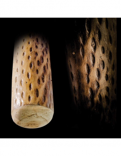 Regenmacher aus Kaktus, Länge 100 cm, Durchmesser 4-6 cm